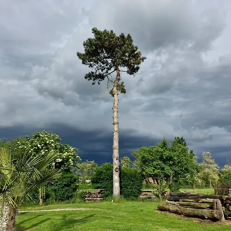 Casa Il Grappolo Πανσιόν Momo