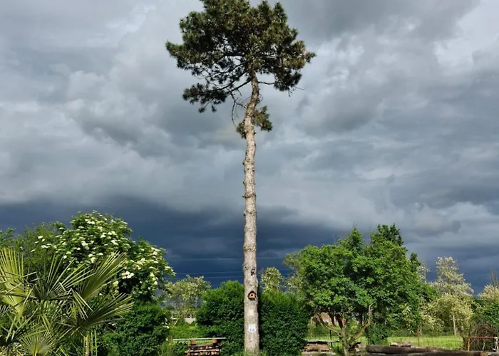 Casa Il Grappolo Gasthuis Momo